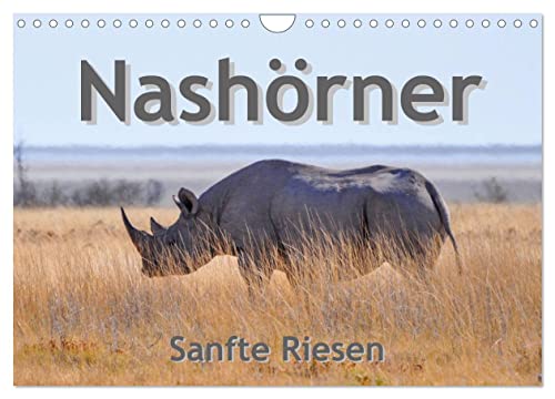 Nashörner - Sanfte Riesen (Wandkalender 2024 DIN A4 quer), CALVENDO Monatskalender