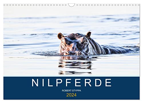 Nilpferde, Kolosse in Afrika (Wandkalender 2024 DIN A3 quer), CALVENDO Monatskalender von CALVENDO
