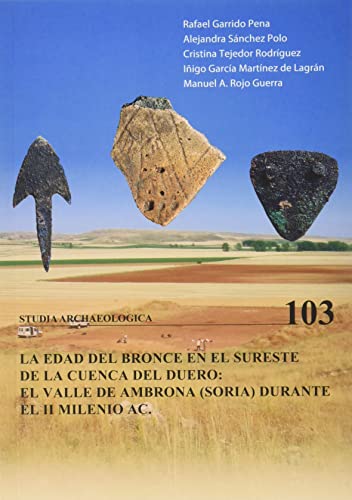 EDAD DEL BRONCE EN EL SURESTE DE LA CUENCA DEL DUERO, LA. EL VALLE DE AMBRONA (SORIA) DURANTE EL II MILENIO A.C. (Studia Archaeologica, Band 103)