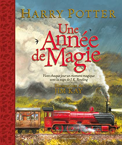 HARRY POTTER CO ED FRANCE: Vivez chaque jour un moment magique von BLOOMSBURY CHILDRENS BOOKS