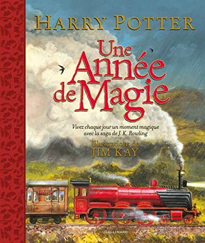 HARRY POTTER CO ED FRANCE: Vivez chaque jour un moment magique