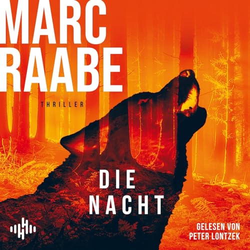 Die Nacht (Art Mayer-Serie 3): 2 CDs | Bestseller von Marc Raabe bringen Sie um den Schlaf!