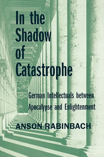 In the Shadow of Catastrophe: German Intellectuals Between Apocalypse and Enlightenment: German Intellectuals Between Apocalypse and Enlightenment ... and Now: German Cultural Criticism, Band 14)