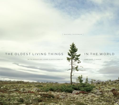 The Oldest Living Things in the World: With Essays by Hans Ulrich Obrist and Carl Zimmer von University of Chicago Press