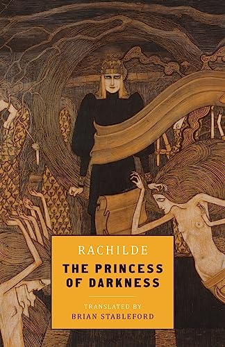 The Princess of Darkness von Snuggly Books