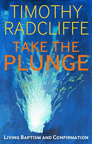 Take the Plunge: Living Baptism and Confirmation von Bloomsbury Continuum