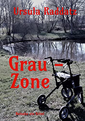 Grau-Zone: beinahe ein Krimi von Books on Demand