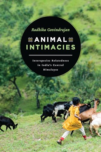 Animal Intimacies: Interspecies Relatedness in India's Central Himalayas (Animal Lives) von University of Chicago Press