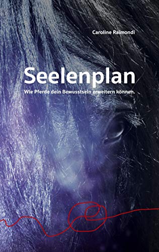 Seelenplan: Wie Pferde dein Bewusstsein erweitern können.