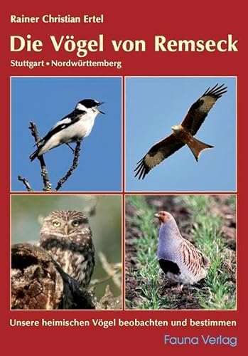 Die Vögel von Remseck – Stuttgart, Nordwürttemberg: Unsere heimischen Vögel beobachten und bestimmen von Fauna