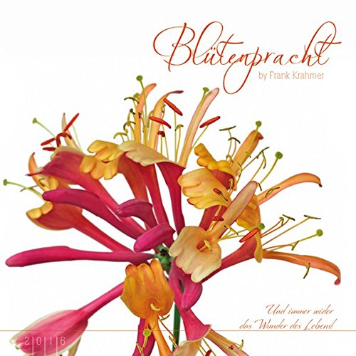 Blütenpracht 2016 - Blumen - Bildkalender (33 x 33) - mit Zitaten - mit Foliendeckblatt von Alpha Edition