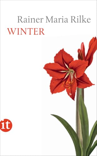 Winter (insel taschenbuch)