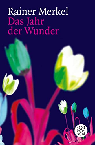 Das Jahr der Wunder: Roman von Fischer Taschenbuch Verlag GmbH