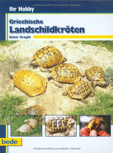 Griechische Landschildkröten, Ihr Hobby Griechische Landschildkröten, Ihr Hobby