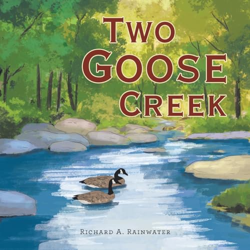 Two Goose Creek von Trafford Publishing