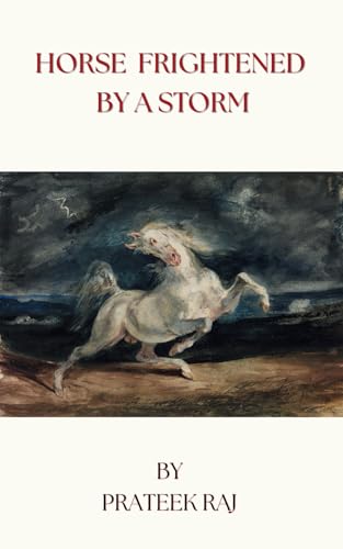 Horse Frightened by a Storm: Dark Christian Psychological Fiction von Independently published