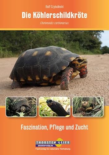 Die Köhlerschildkröte Chelonoidis carbonarius: Faszination, Pflege und Zucht von Kleintierverlag