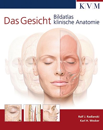 Das Gesicht: Bildatlas klinische Anatomie von Kvm