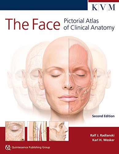 The Face: Pictorial Atlas of Clinical Anatomy von Quintessence Publishing/KVM