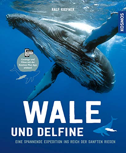Wale & Delfine: Eine spannende Expedition ins Reich der sanften Riesen von Kosmos