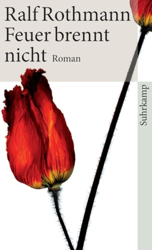 Feuer brennt nicht: Roman (suhrkamp taschenbuch) von Suhrkamp Verlag AG