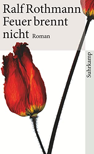 Feuer brennt nicht: Roman (suhrkamp taschenbuch)