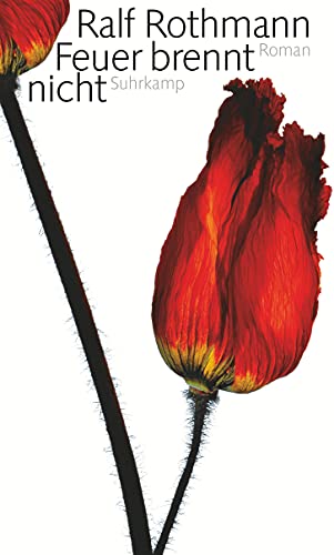 Feuer brennt nicht: Roman von Suhrkamp Verlag AG