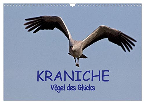 Kraniche - Vögel des Glücks (Wandkalender 2025 DIN A3 quer), CALVENDO Monatskalender von CALVENDO