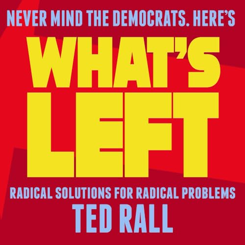 What's Left: Radical Solutions for Radical Problems von Adjy Publishing