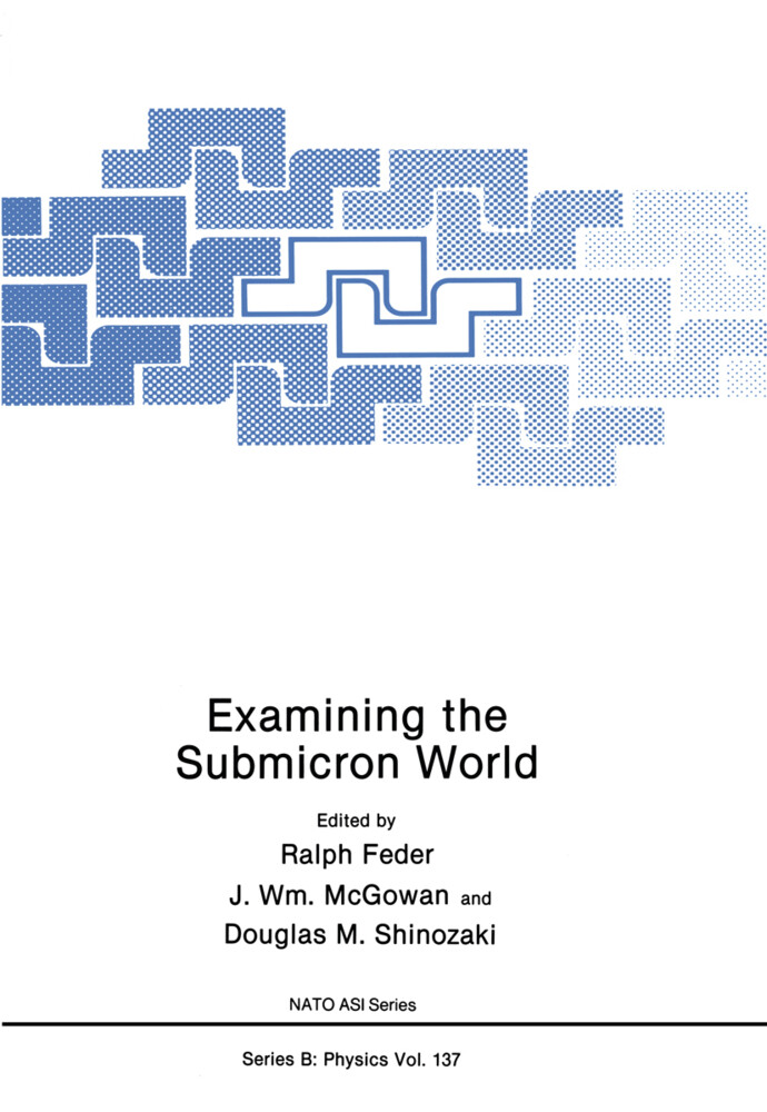 Examining the Submicron World von Springer US