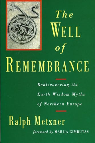 The Well of Remembrance: Rediscovering the Earth Wisdom Myths of Northern Europe von Shambhala Publications