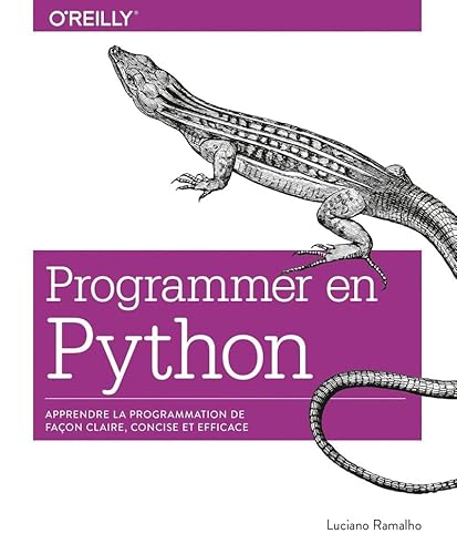 Programmer avec Python