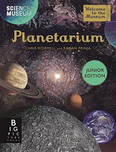 Planetarium (Junior Edition) (Welcome To The Museum) von Big Picture Press