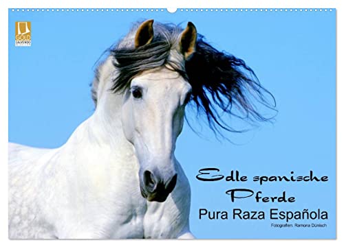 Edle spanische Pferde - Pura Raza Espanola (Wandkalender 2025 DIN A2 quer), CALVENDO Monatskalender von CALVENDO