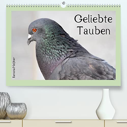 Geliebte Tauben (hochwertiger Premium Wandkalender 2024 DIN A2 quer), Kunstdruck in Hochglanz