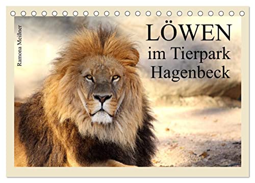 Löwen im Tierpark Hagenbeck (Tischkalender 2024 DIN A5 quer), CALVENDO Monatskalender von CALVENDO