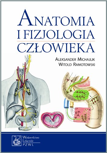 Anatomia i fizjologia czlowieka