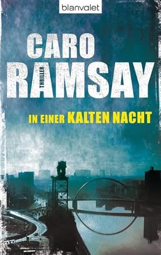 In einer kalten Nacht: Roman