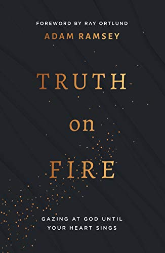 Truth On Fire: Gazing at God Until Your Heart Sings (Engage your mind and emotions in your walk with God) Truth On Fire: Gazing at God Until Your Heart Sings (Engage your mind and emotions in your walk with God)