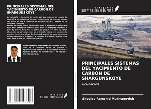 PRINCIPALES SISTEMAS DEL YACIMIENTO DE CARBÓN DE SHARGUNSKOYE: MONOGRAFÍA von Ediciones Nuestro Conocimiento