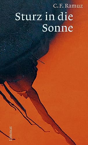 Sturz in die Sonne: Roman von Limmat Verlag