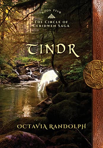 Tindr: Book Five of The Circle of Ceridwen Saga von Pyewacket Press