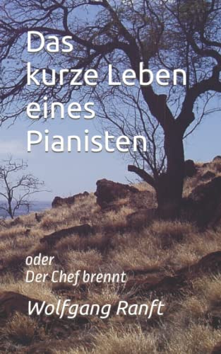 Das kurze Leben eines Pianisten: Der Chef brennt von Independently published