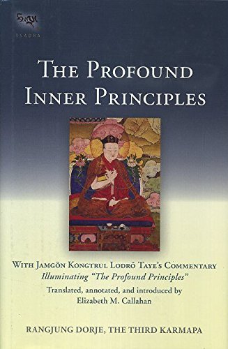 Profound Inner Principles von Snow Lion
