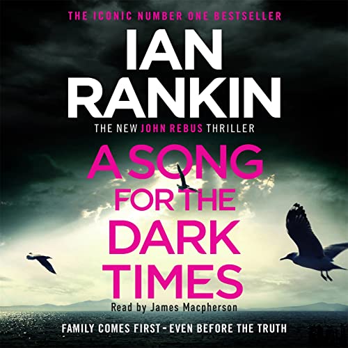A Song for the Dark Times: From the iconic #1 bestselling author of IN A HOUSE OF LIES von Orion