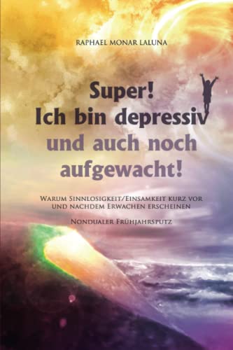 Super! Ich bin depressiv!: Und auch noch aufgewacht! (Nondualer Frühjahrsputz) von CreateSpace Independent Publishing Platform
