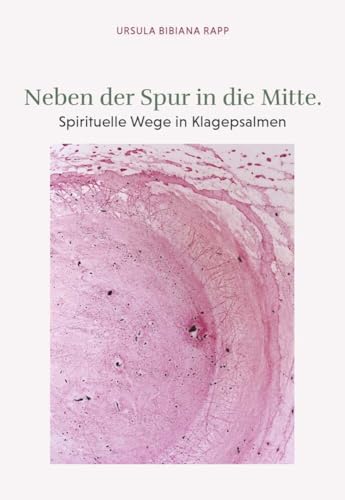 Neben der Spur in die Mitte: Spirituelle Wege in Klagepsalmen von Buchschmiede
