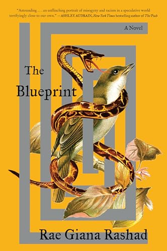 The Blueprint: A Novel von Harper Perennial