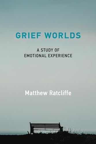 Grief Worlds: A Study of Emotional Experience