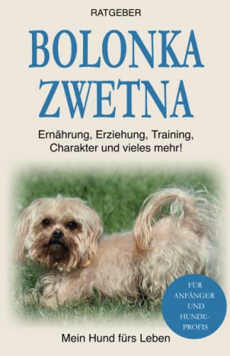 Bolonka Zwetna: Erziehung, Training und Charakter von Bolonka Zwetna